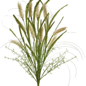 wheat grass spray
