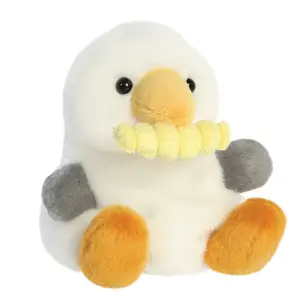 Bouy seagull with Fry