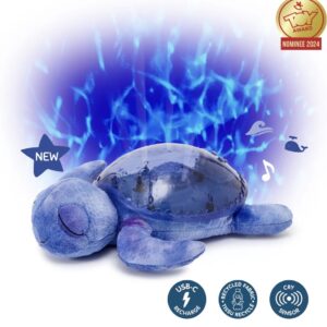 Tranquil Turtle- Blue