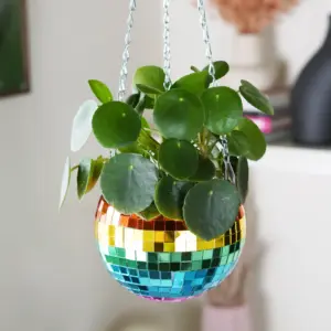 Disco Ball Planter- Rainbow