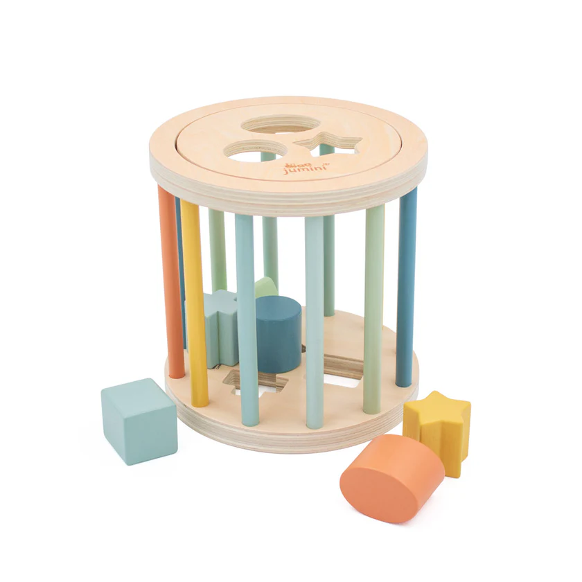 Retro cage shape sorter